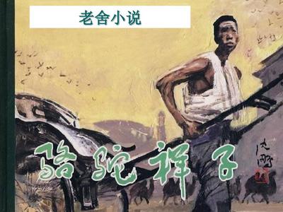 张津瑜的视频无删减